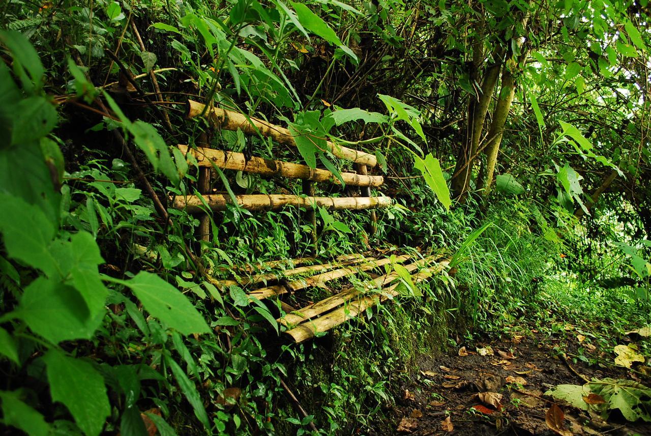 Eco Lodge La Juanita La Linda Eksteriør bilde