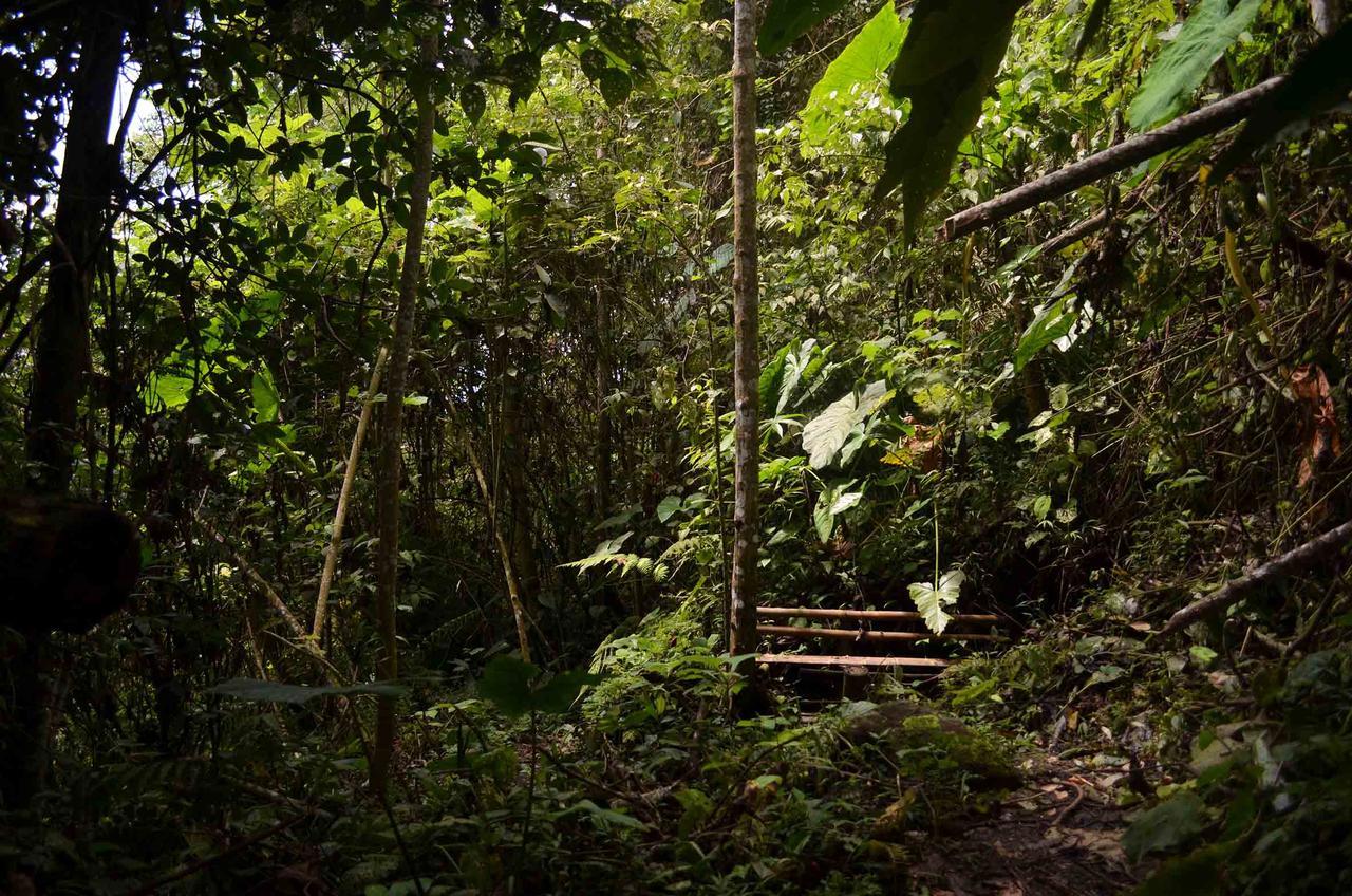 Eco Lodge La Juanita La Linda Eksteriør bilde
