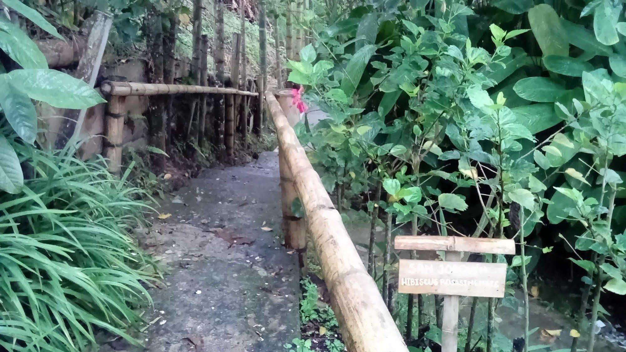 Eco Lodge La Juanita La Linda Eksteriør bilde